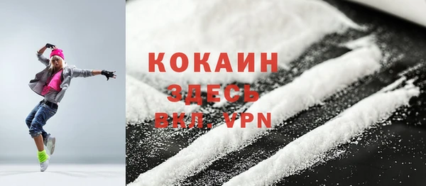 прущие грибы Балахна