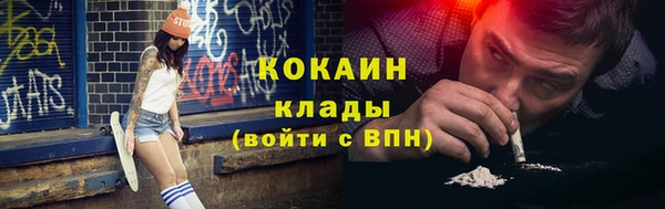прущие грибы Балахна