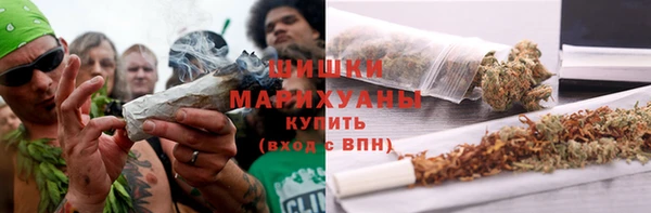 мяу мяу мука Белокуриха