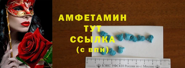 прущие грибы Балахна