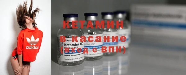 прущие грибы Балахна