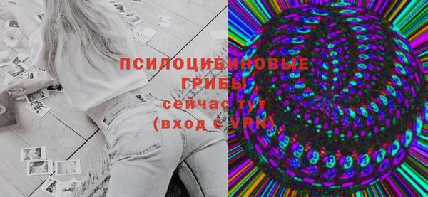 мяу мяу мука Белокуриха