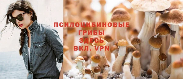 ешки Сосновый Бор