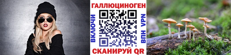 Галлюциногенные грибы GOLDEN TEACHER KRAKEN маркетплейс Калининец
